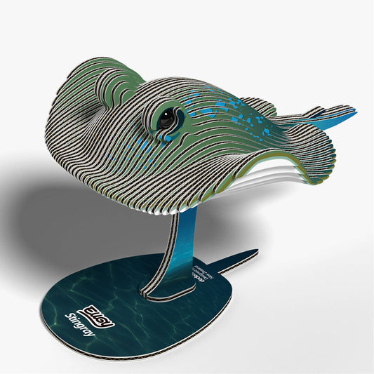 Maquette 3D EUGY 102 Raie – vue 2