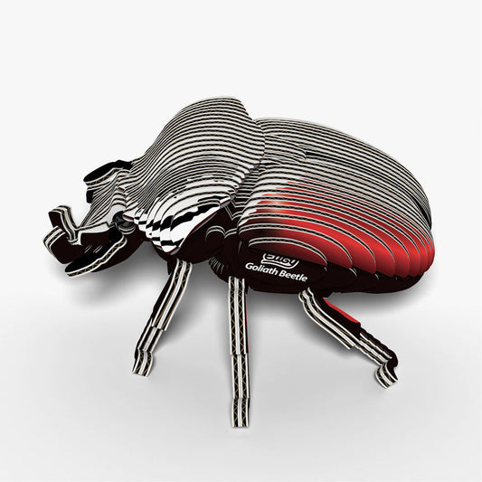 Maquette 3D EUGY 111 Coléoptère Goliath – vue 3