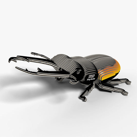 Maquette 3D EUGY 114 Coléoptère Lucanidae – vue 2
