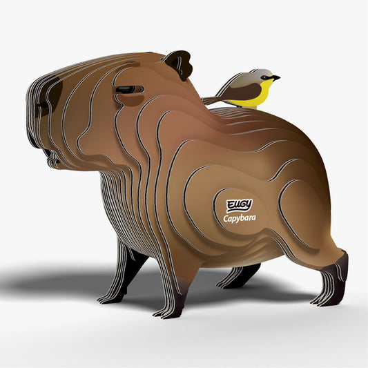 Maquette 3D EUGY 120 Capybara – vue 2