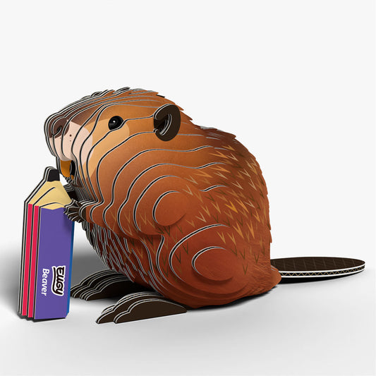 Maquette 3D EUGY 127 Castor – vue 2