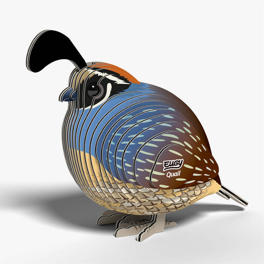 Maquette 3D EUGY 129 Caille – vue 2