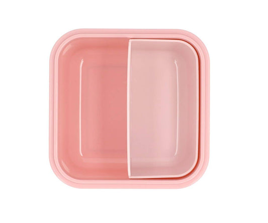 Grande Boîte à Déjeuner Insectes