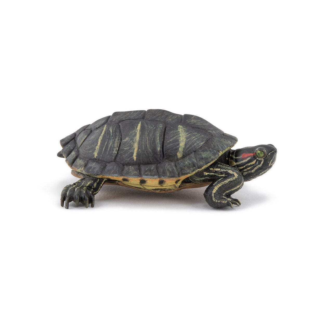 Figurine Tortue de Floride Papo - animal sauvage