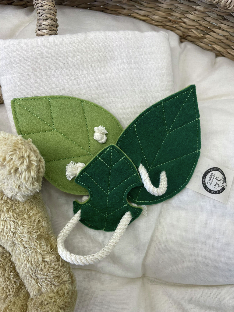 Ensemble d'ailes | S'envoler haut