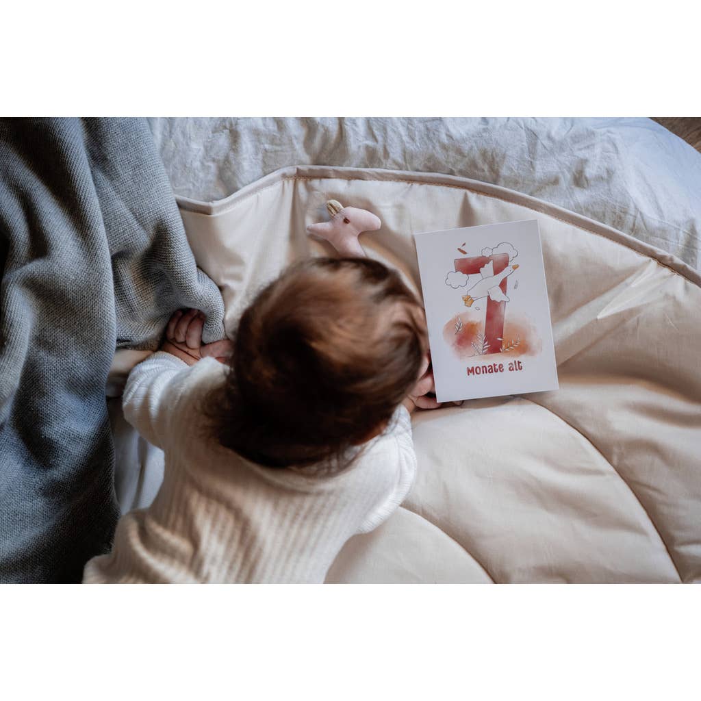 Cartes jalons (16 pcs)