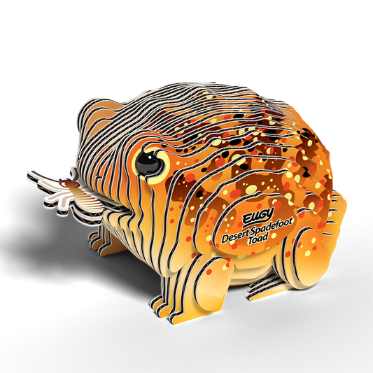 eugy 117 desert spadefoot toad