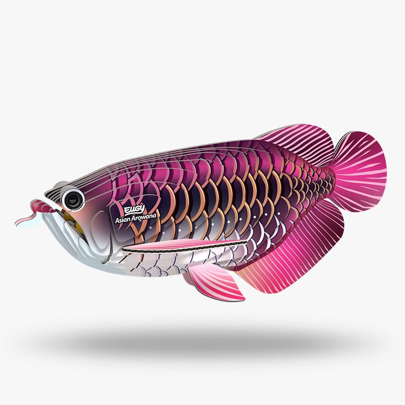 eugy 118 asian arowana
