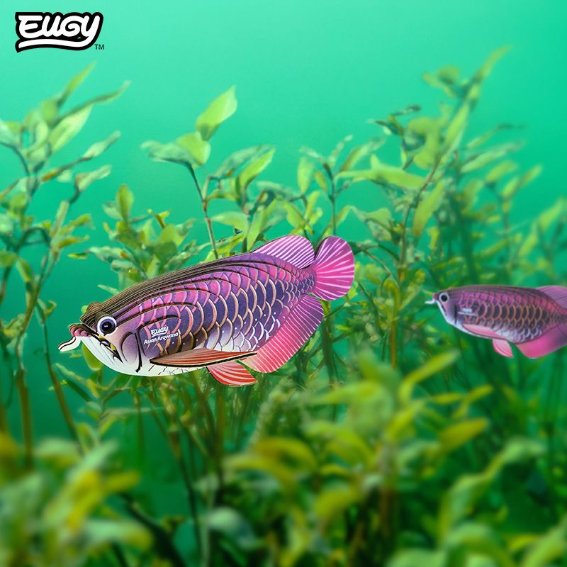 eugy 118 asian arowana
