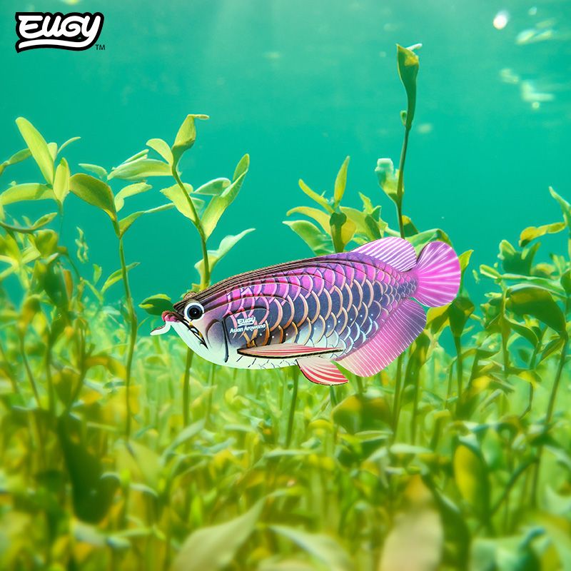 eugy 118 asian arowana