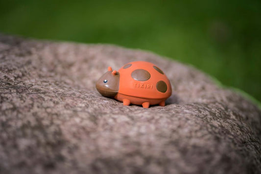 Mijn eerste Ladybug Insect