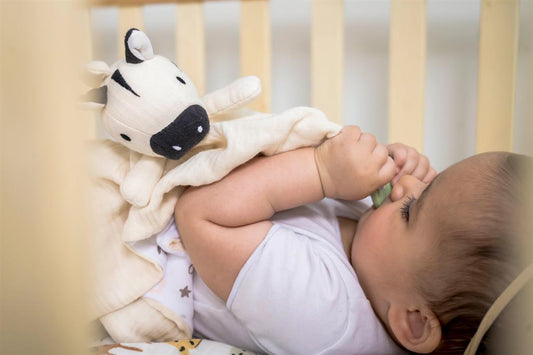 Doudou Zèbre avec Support de Dentition – vue produit 2