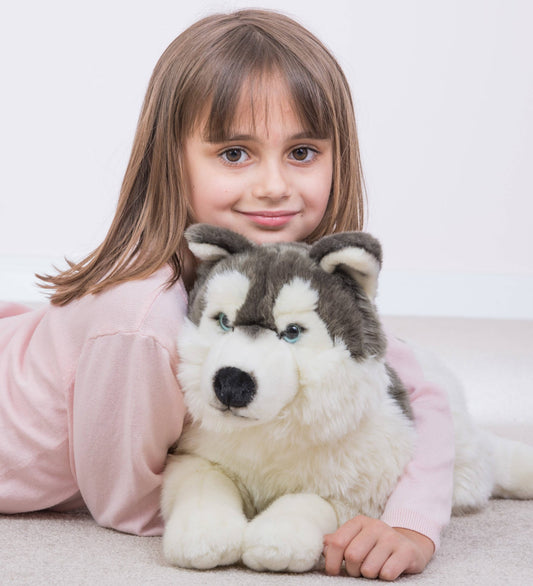 Grande Peluche Husky Couché – 60 cm - Teddy Hermann