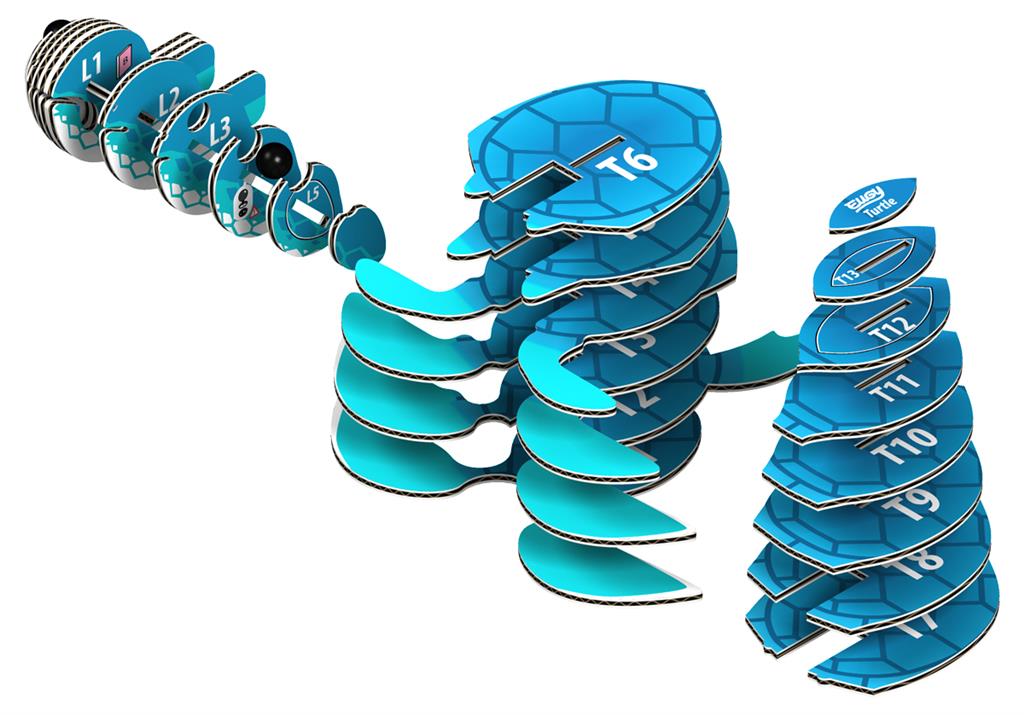 EUGY 3D - Tortue