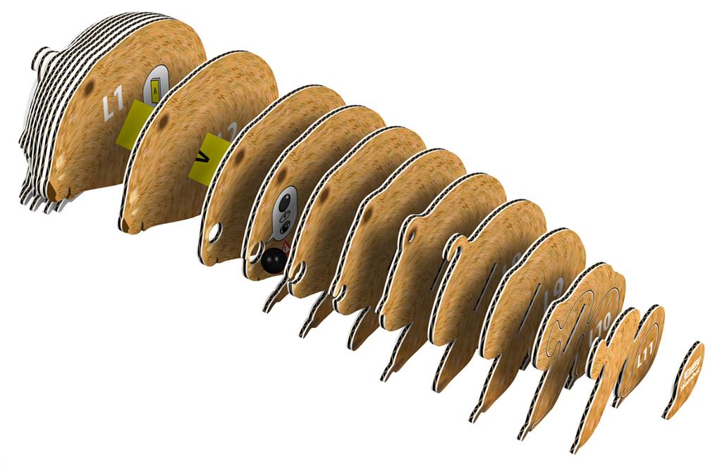 EUGY 3D - Wombat
