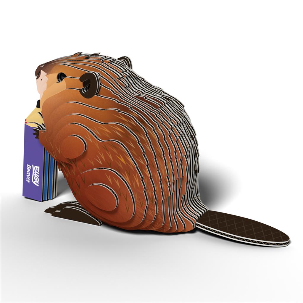 EUGY 3D - Castor