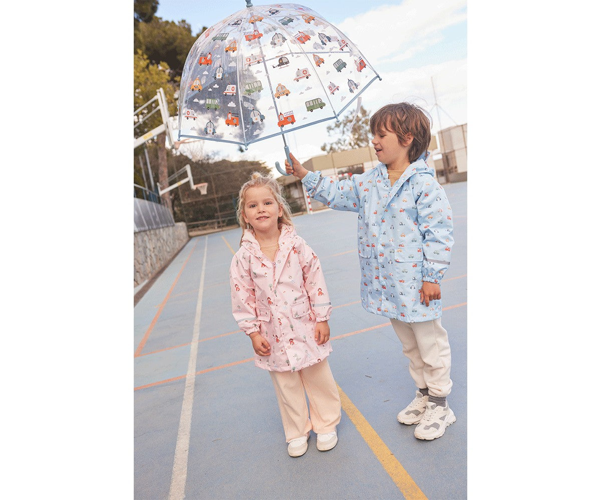 Parapluie Transparent Voitures