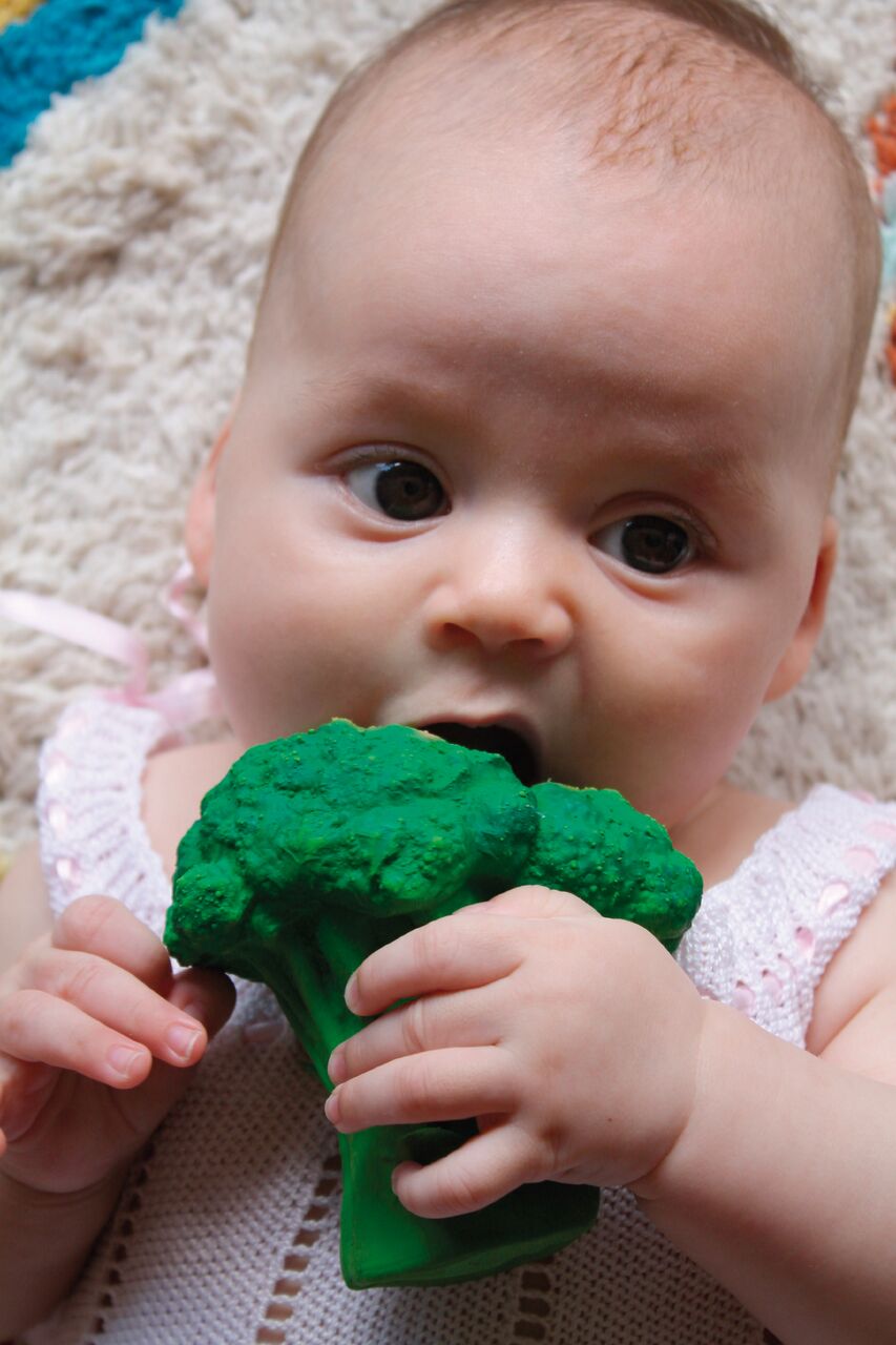 Produit Brucy Le Broccoli Déco