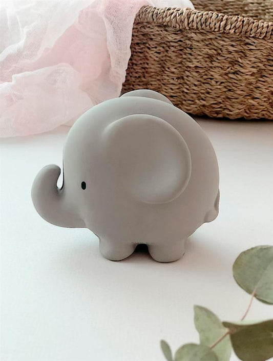 Éléphant du Zoo, vue 2 – Tikiri