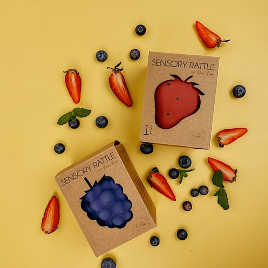 Fruit ontwaken sensorisch speelgoed