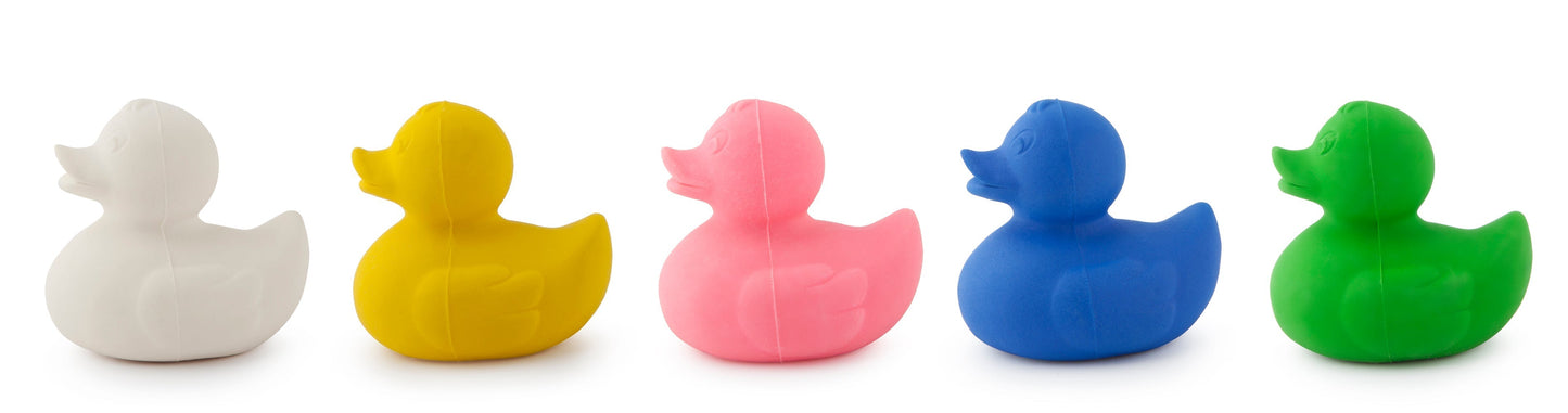 Produit Elvis Le Canard Vert Poster Déco