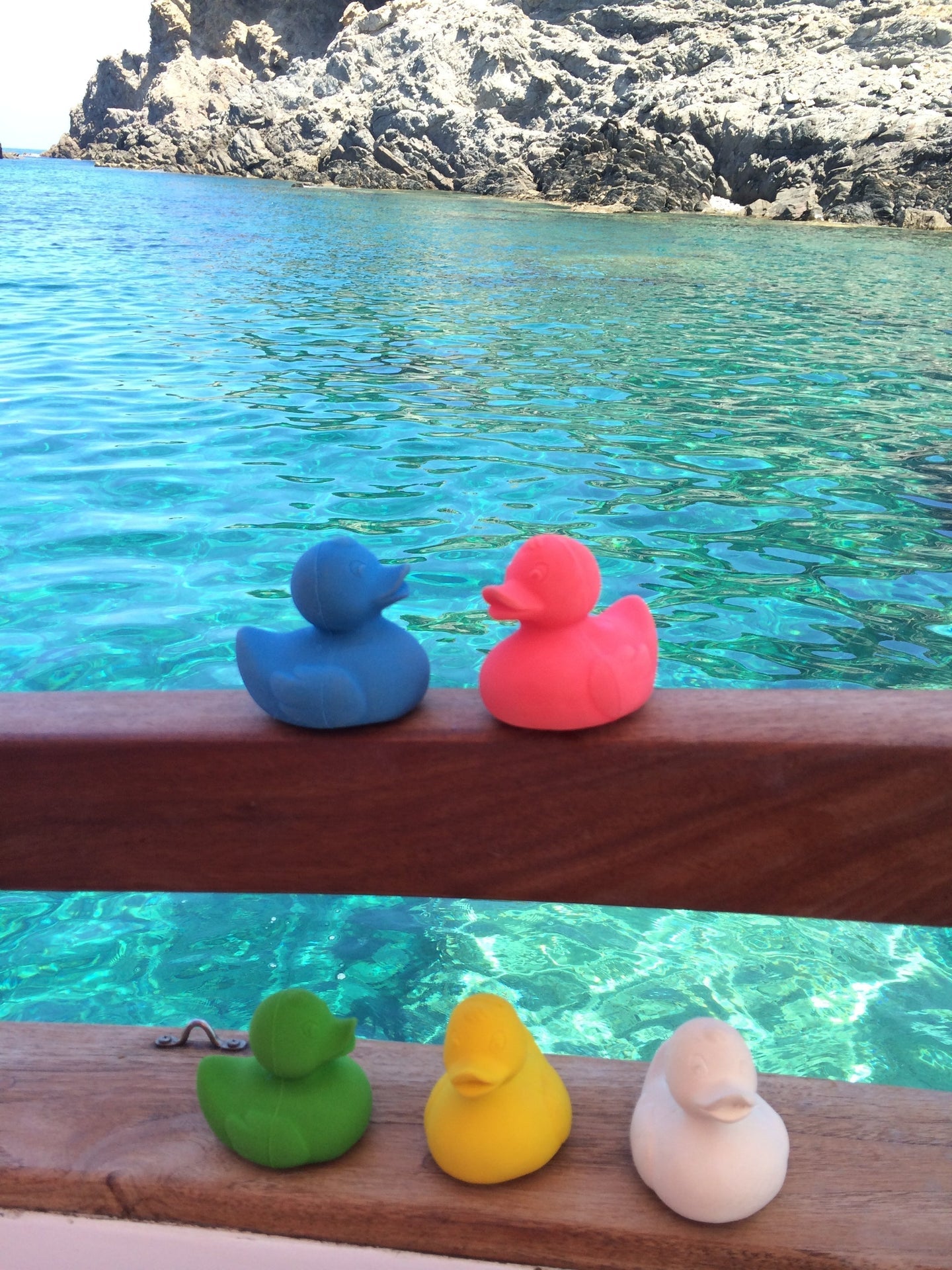 Produit Elvis Le Canard Vert Accessoire