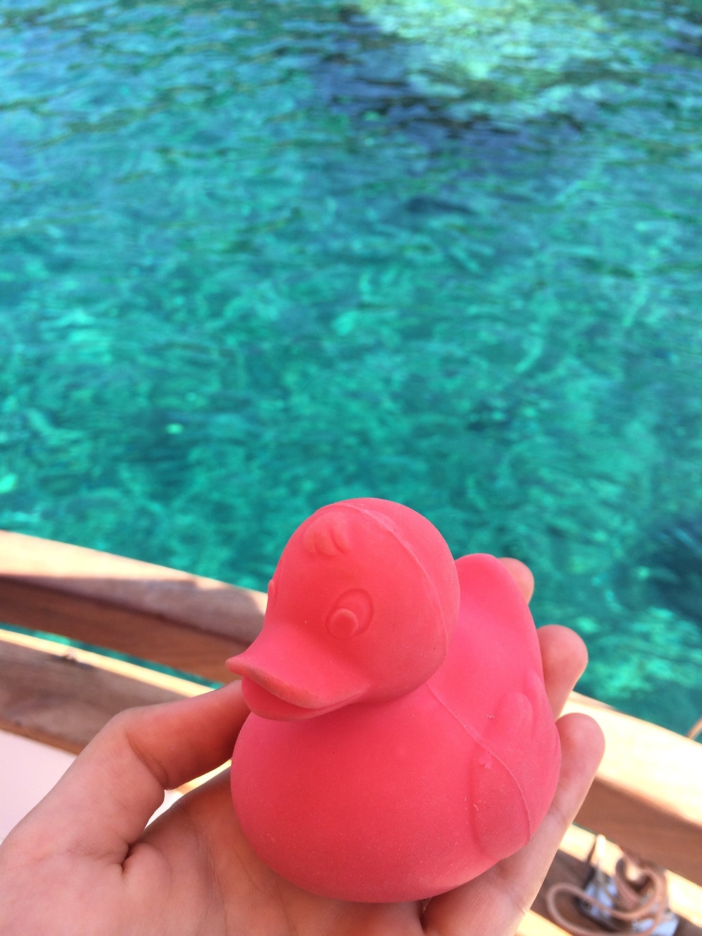Produit Elvis Le Canard Rose Enfant