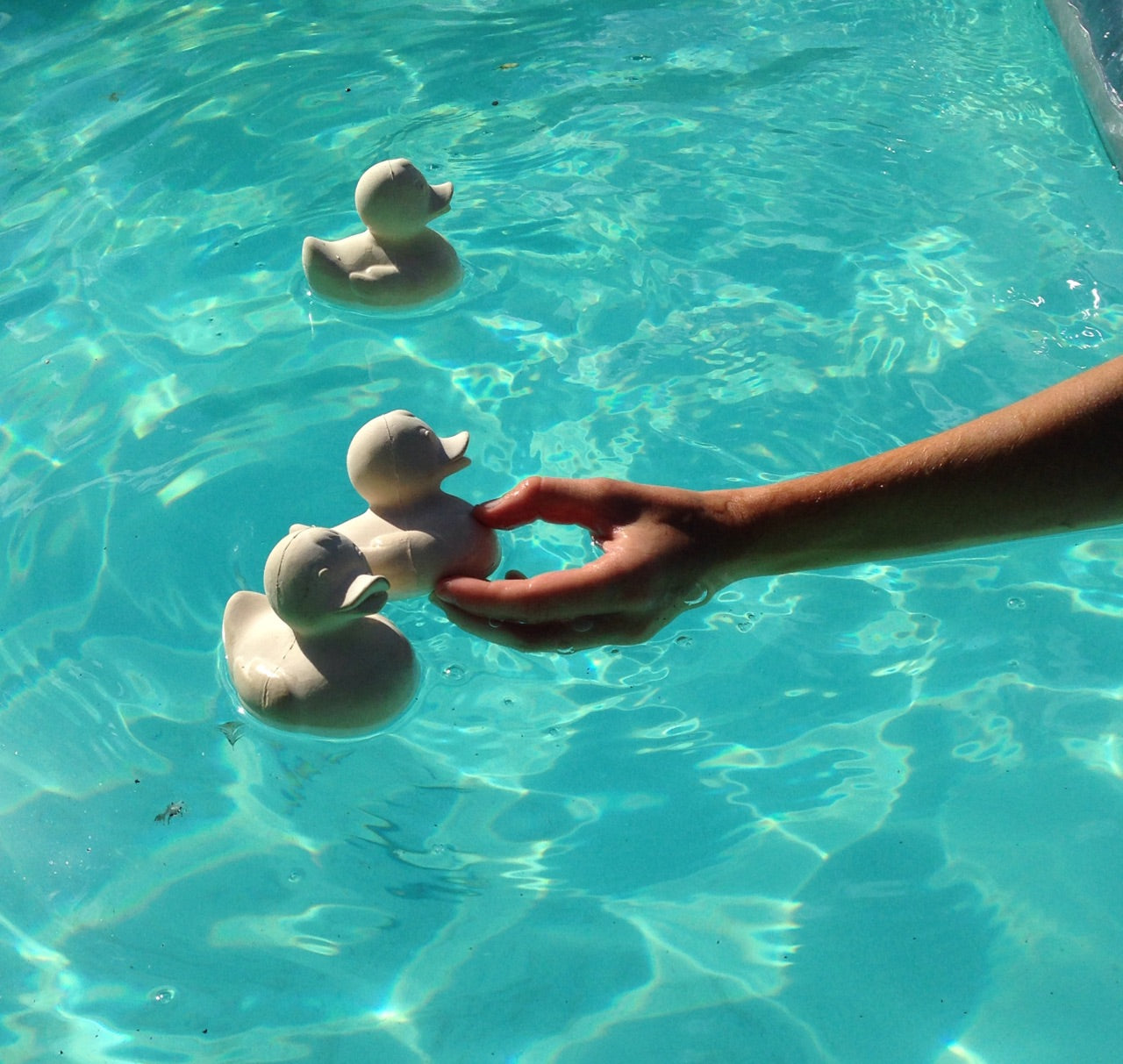 Produit Elvis Le Canard Blanc Maison