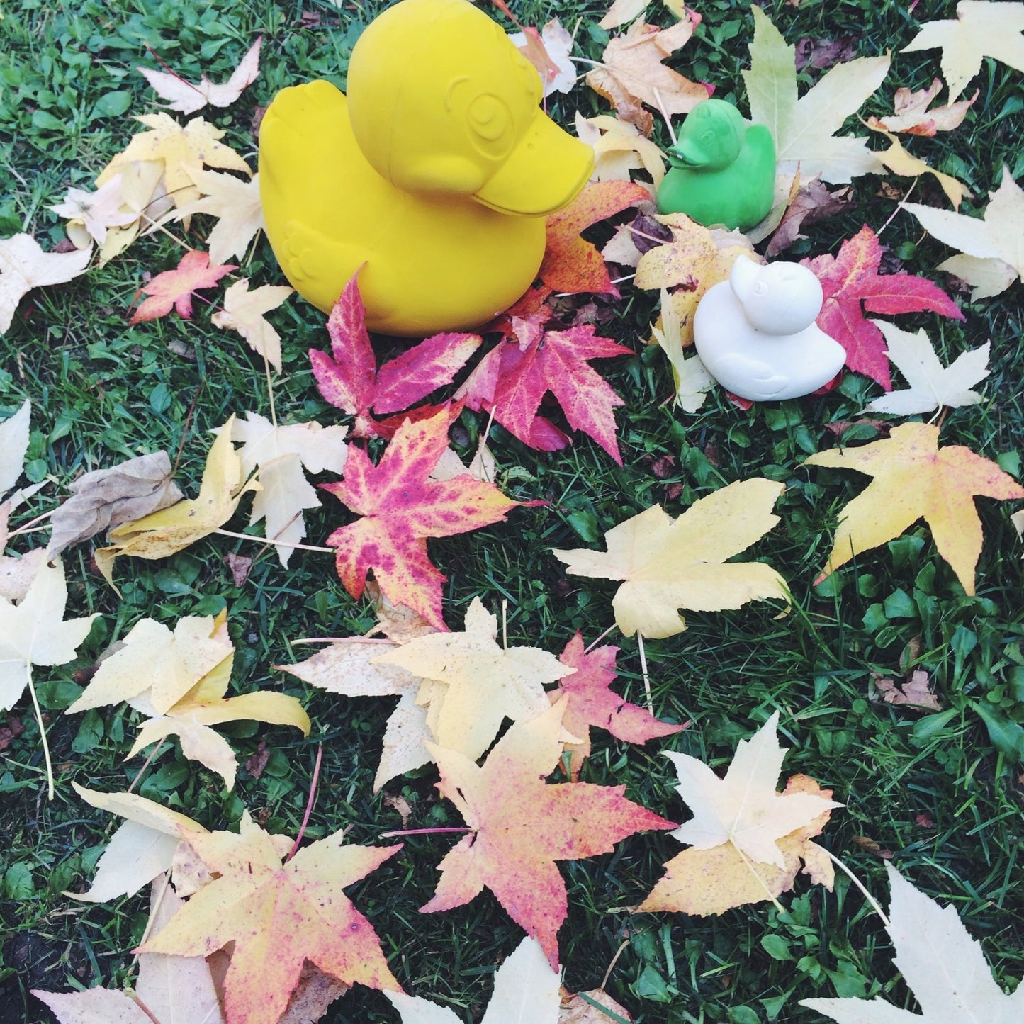 Produit Elvis Le Canard Jaune Collection