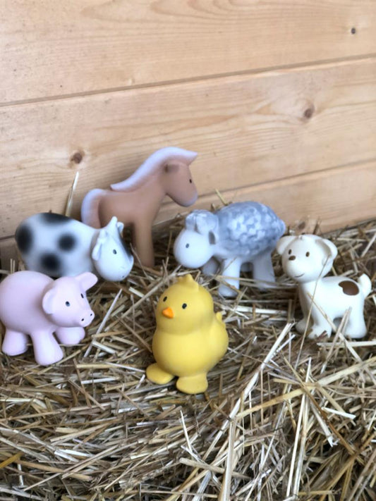 Mouton de la Ferme, vue 2 – Tikiri