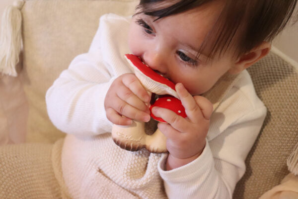 Produit Spot Le Champignon Maison
