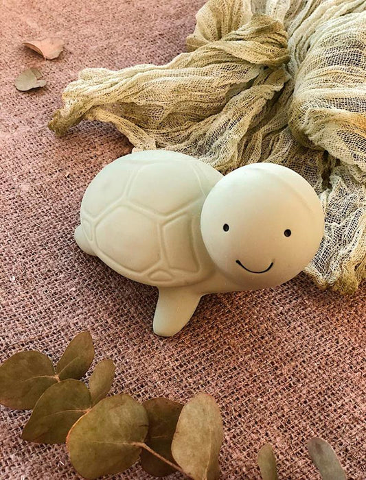 Tortue Marine, vue 2 – Tikiri