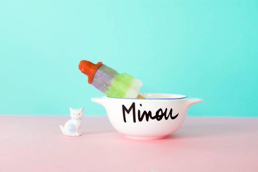 bol breton minou pied de poule