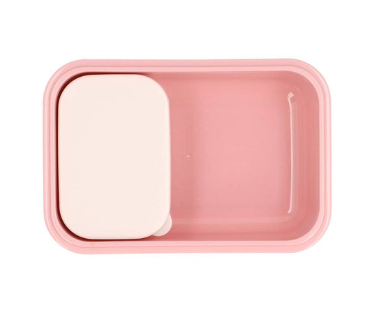 Boîte à Déjeuner Bento Insectes