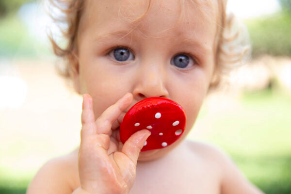 Produit Spotty Le Champignon Maison