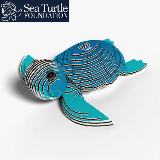038 Tortue de mer