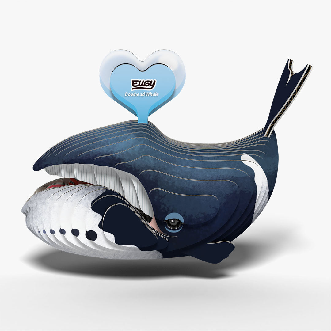 084 Baleine boréale
