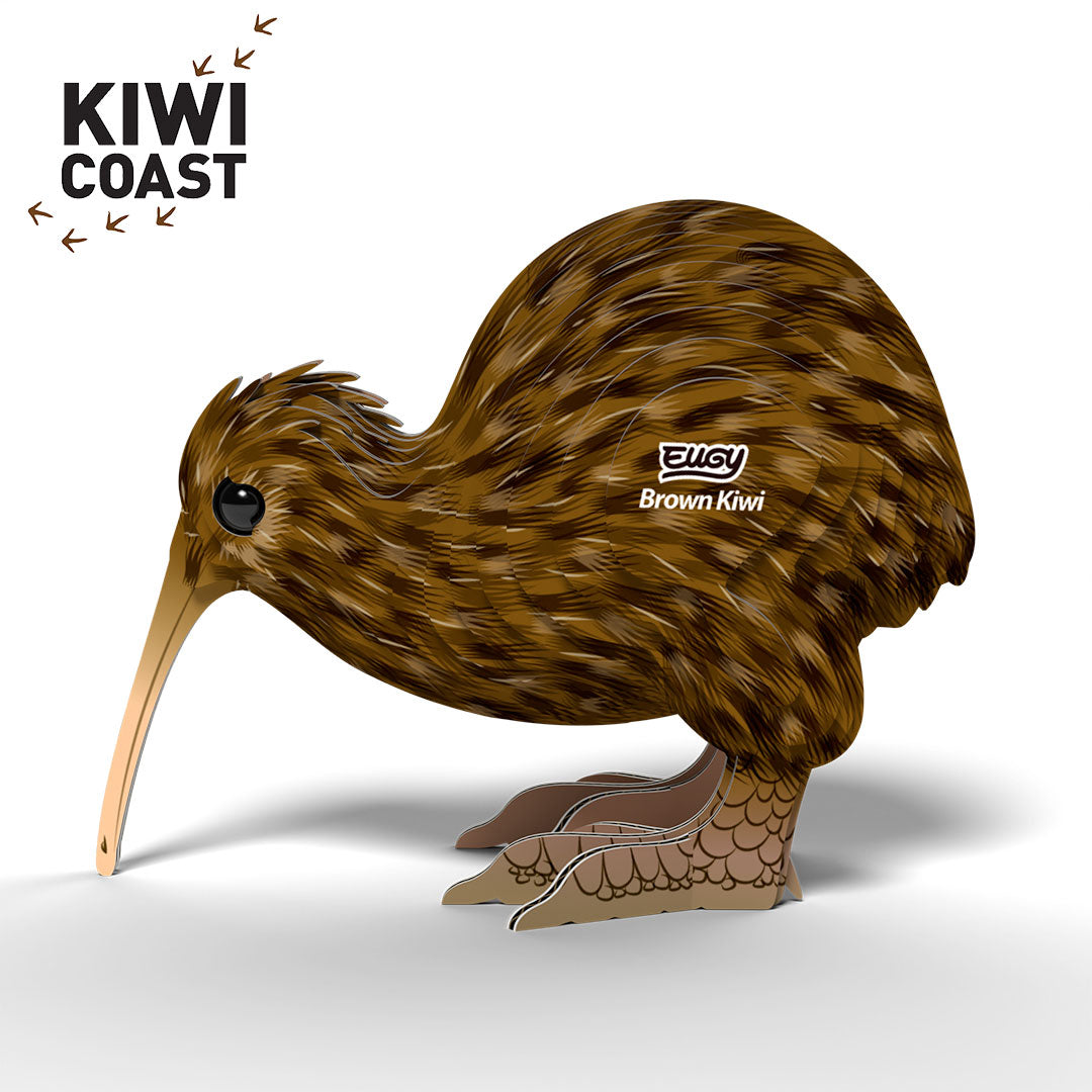 091 Kiwi brun