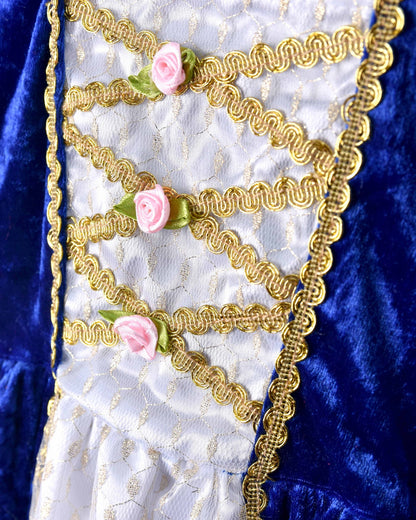 Robe de princesse bleue en velours 110-116 cl 4-6 ans