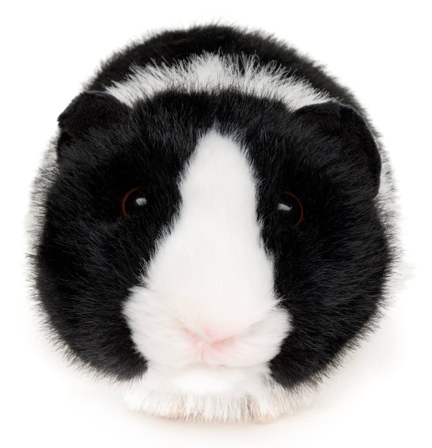Peluche Cochon d'Inde (noir)