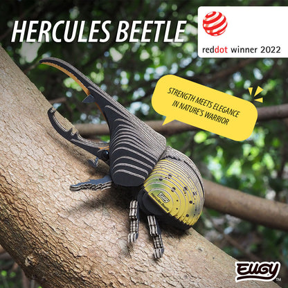 112 Coléoptère Hercule