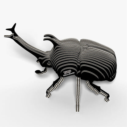 113 Scarabée rhinocéros