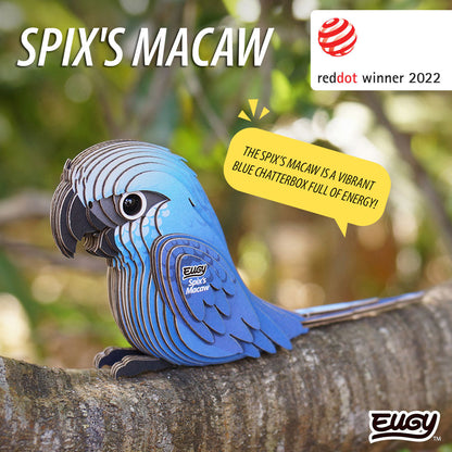 123 Ara de Spix