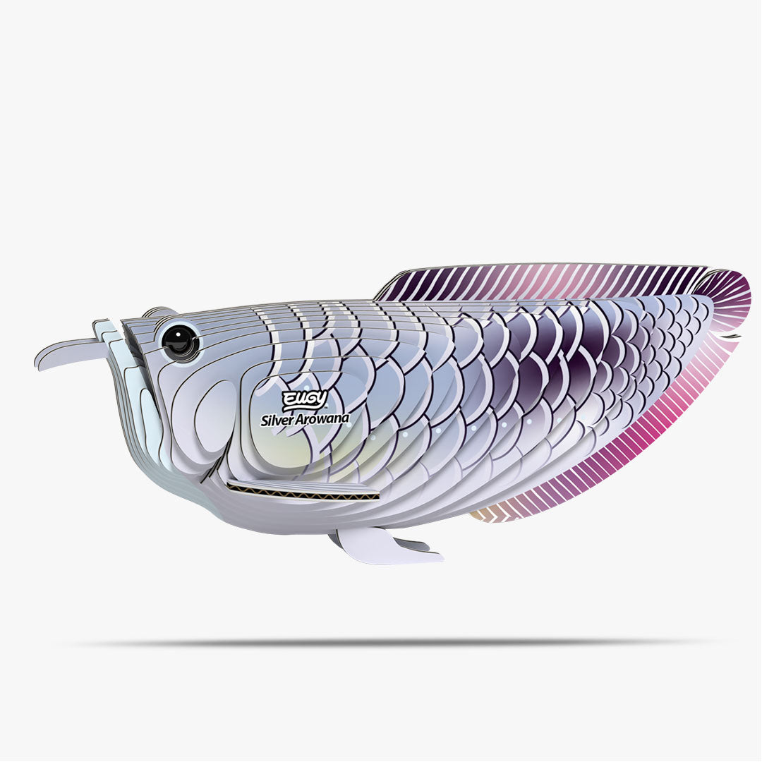 124 Arowana argenté