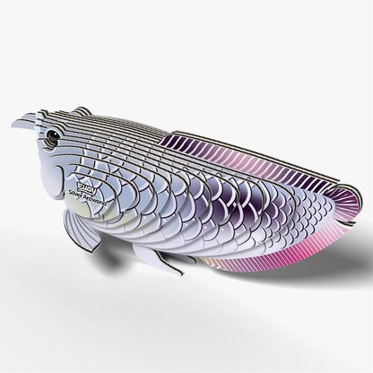 124 Arowana argenté