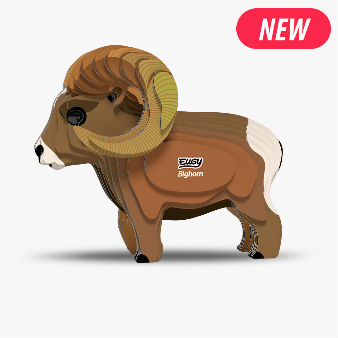 145 Mouflon des Rocheuses