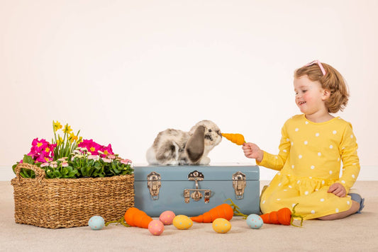 Peluche Lapin Bélier gris et blanc