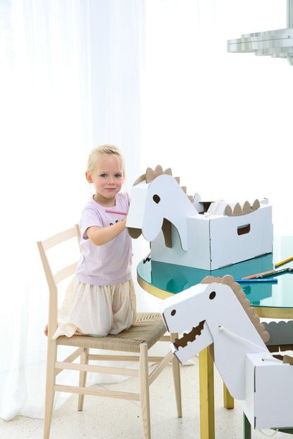 Costume Dinosaure
