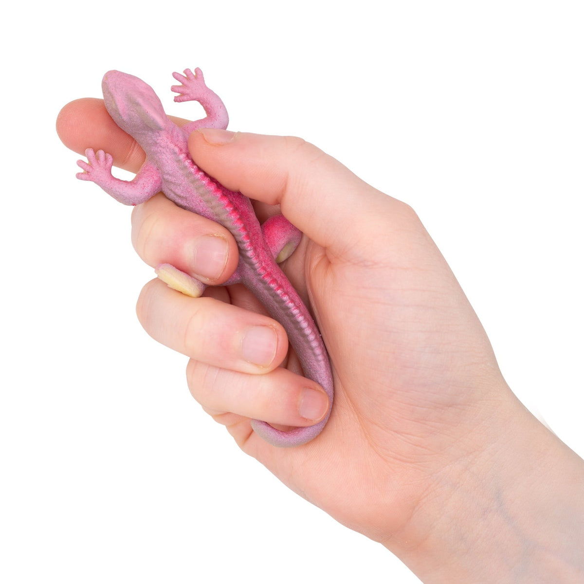 Mini Lézards Changeant de Couleur – Lot de 4