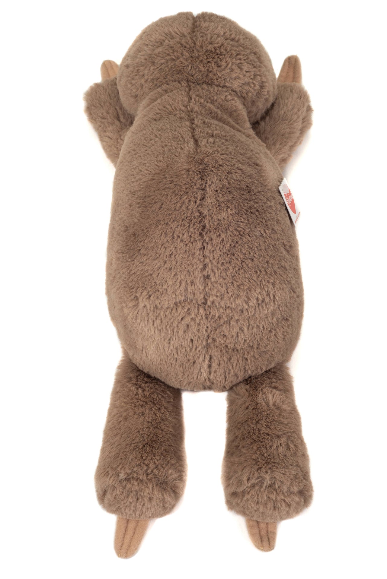 Peluche Paresseux